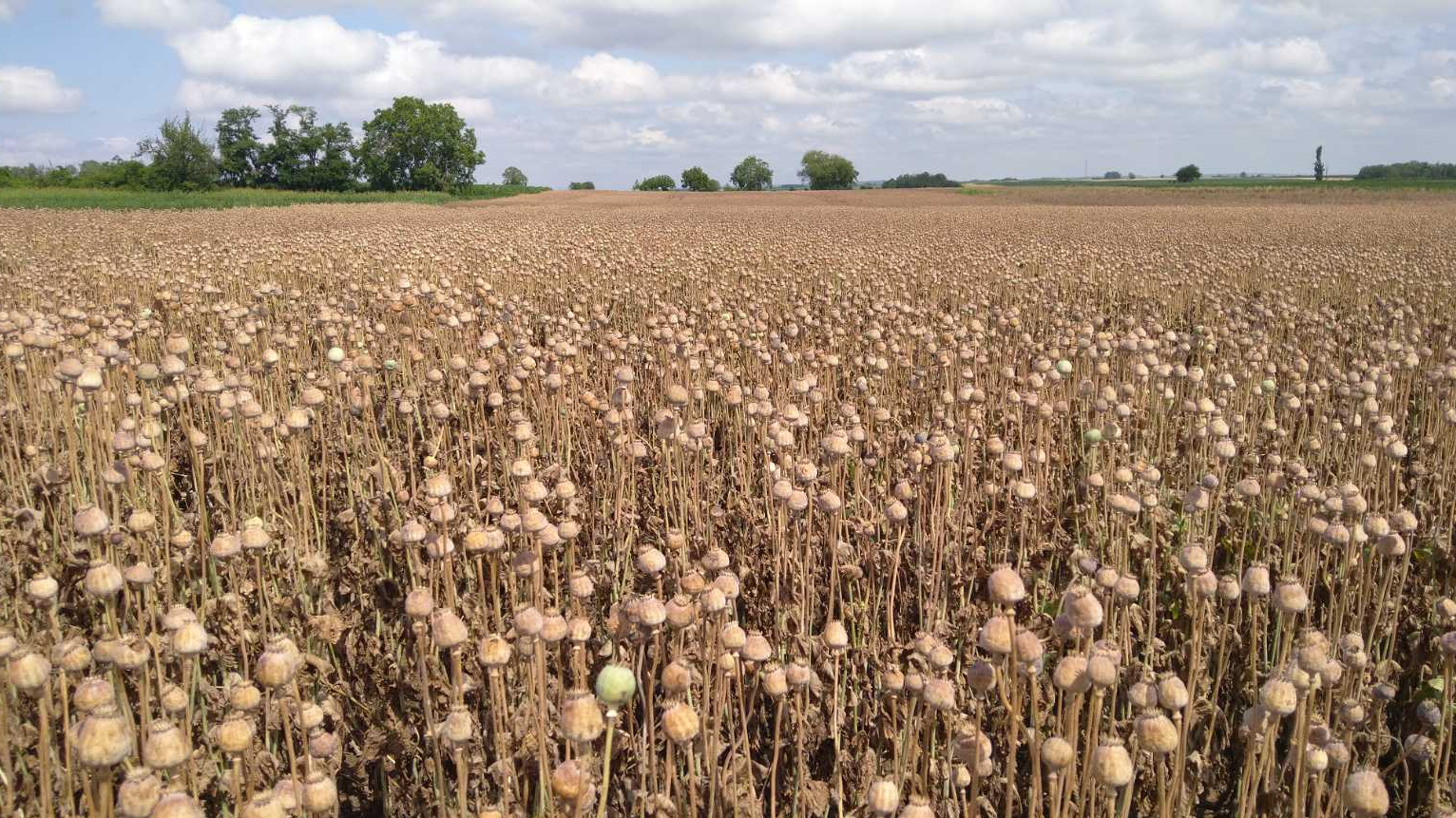 Minijatura galerije 5