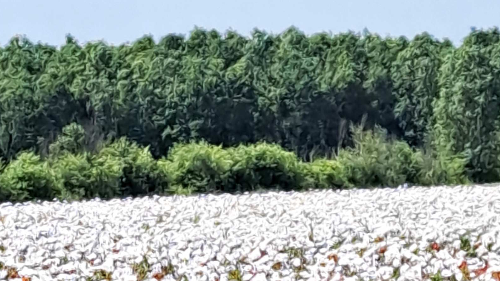 Minijatura galerije 4