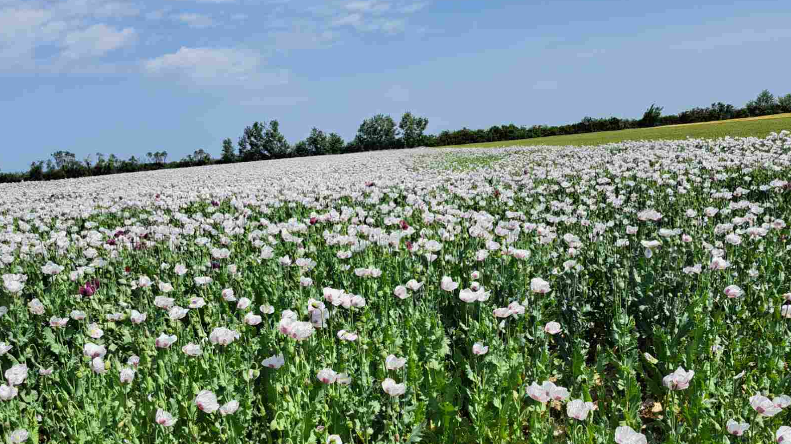 Minijatura galerije 6