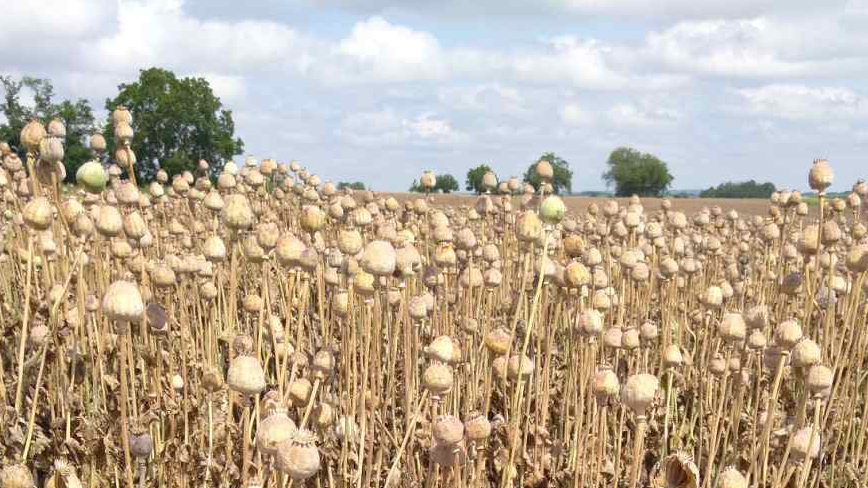 Minijatura galerije 2