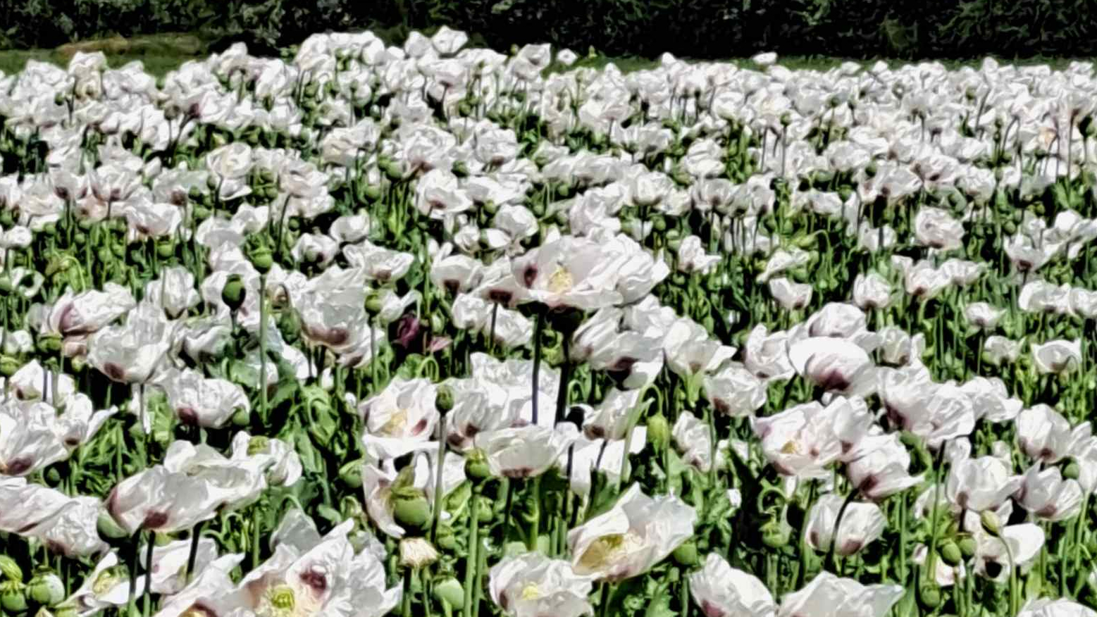 Minijatura galerije 3