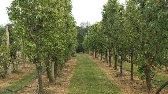 Minijatura galerije 2