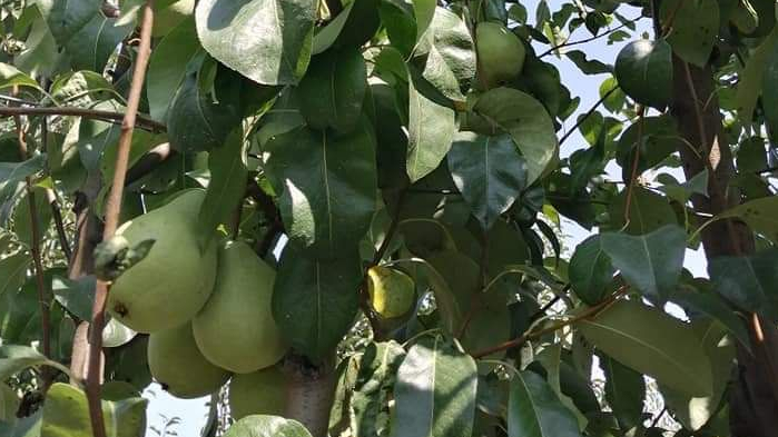 Minijatura galerije 3