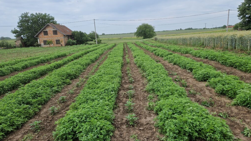 Minijatura galerije 3