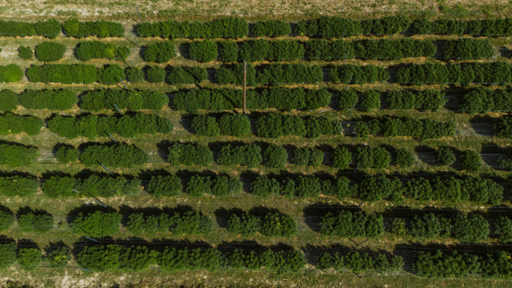 Minijatura galerije 2