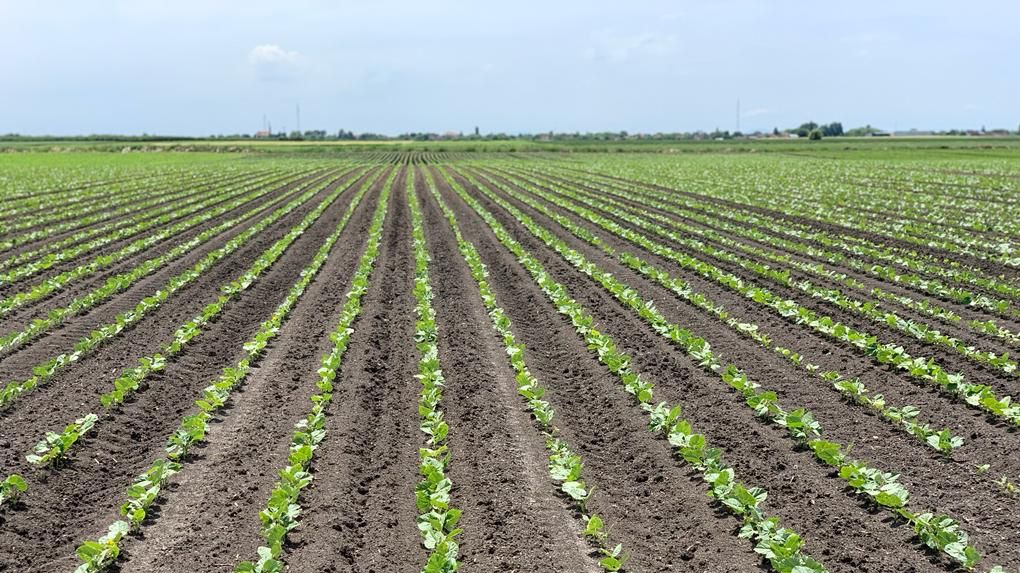 Minijatura galerije 2