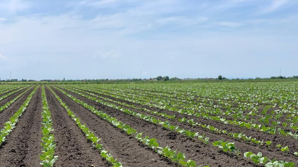 Minijatura galerije 3