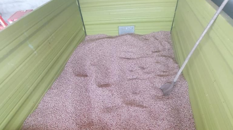 Minijatura galerije 4