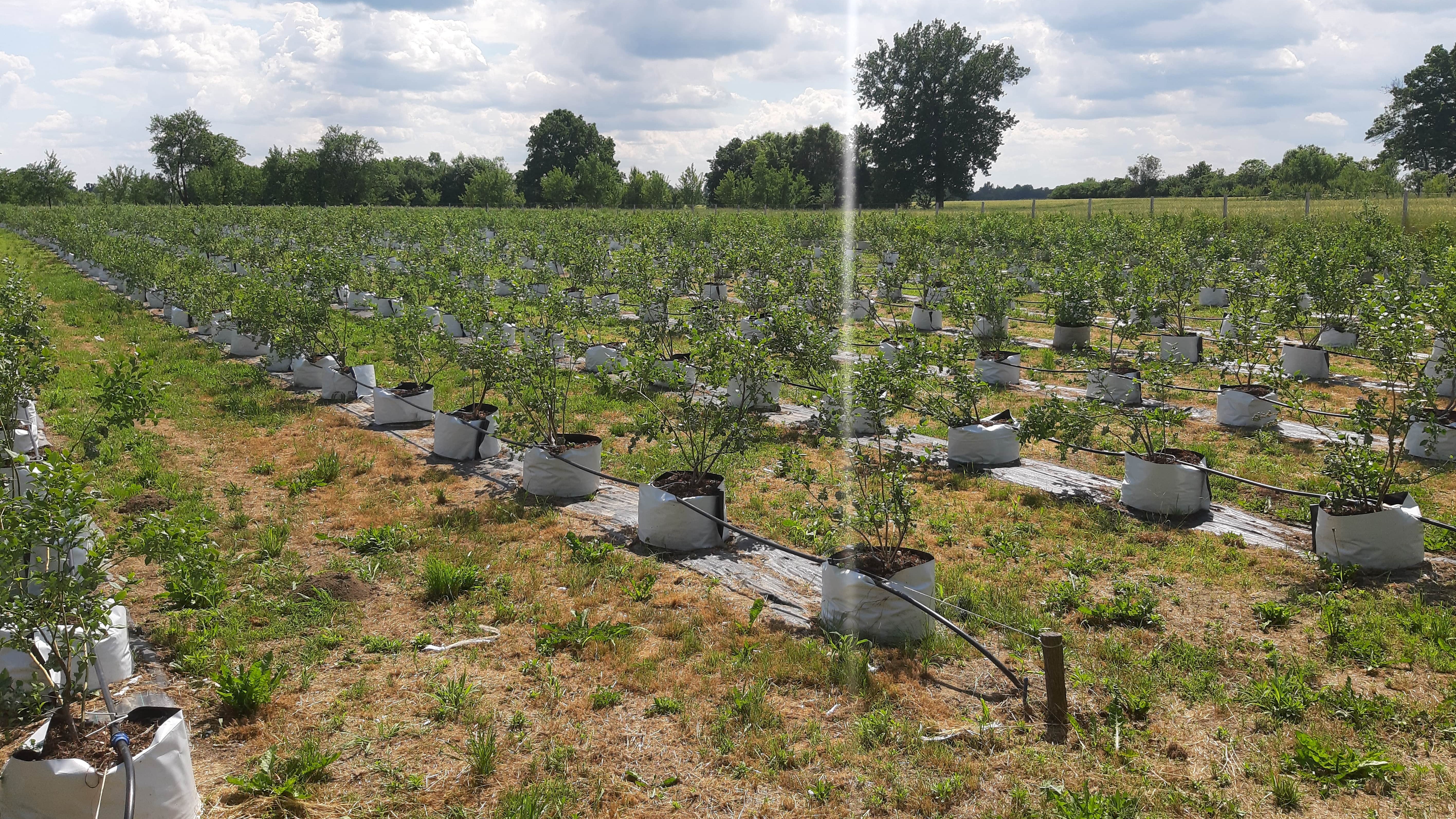 Minijatura galerije 2