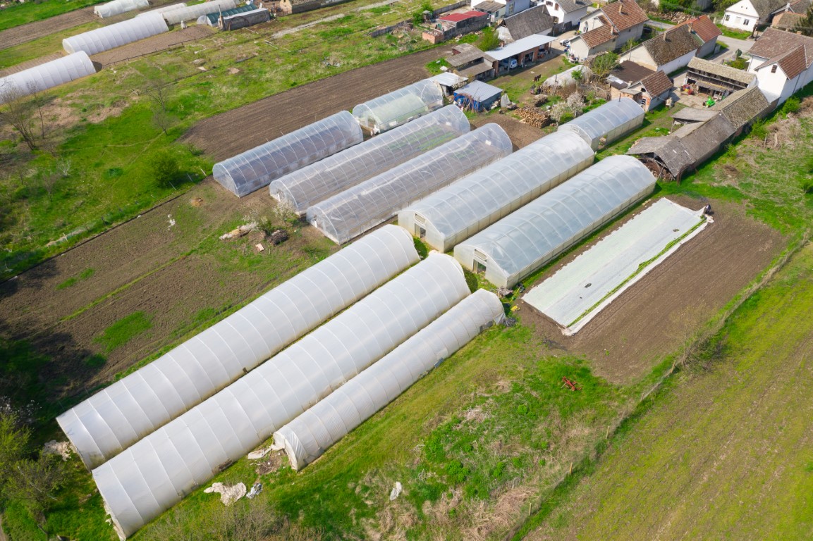 Minijatura galerije 5