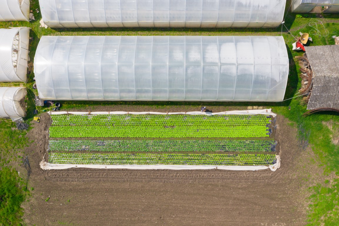 Minijatura galerije 3