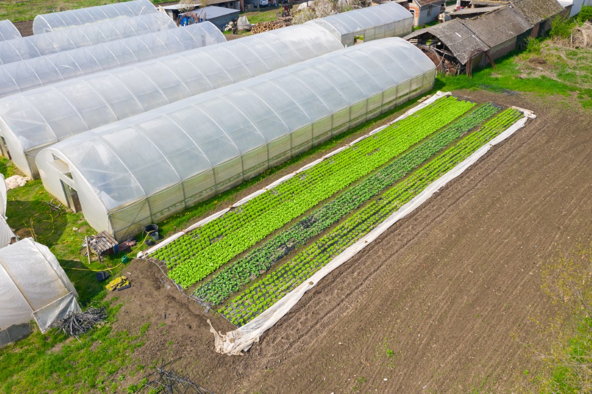 Minijatura galerije 2