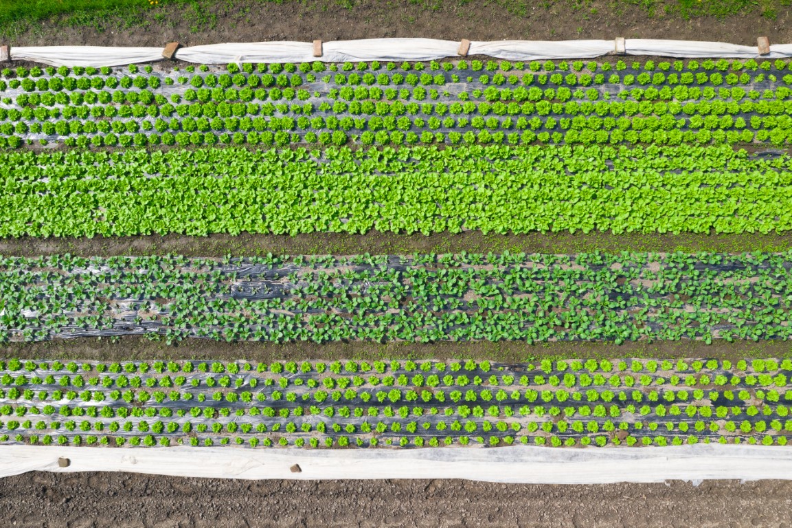 Minijatura galerije 6