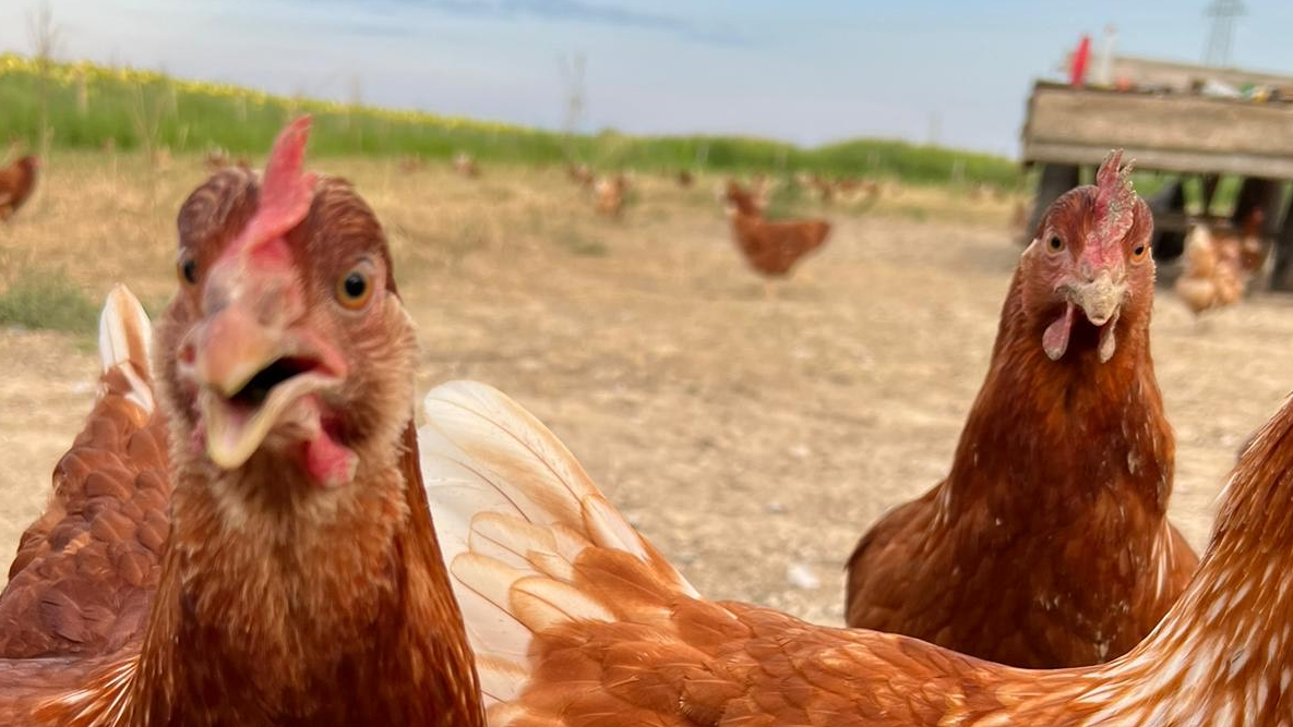 Minijatura galerije 5