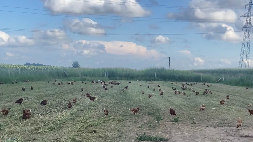 Minijatura galerije 3