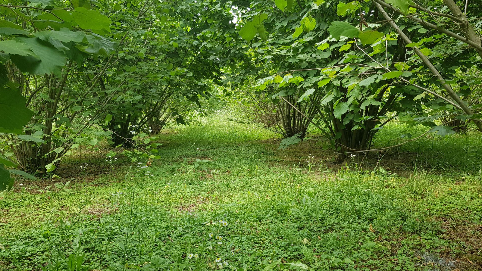 Minijatura galerije 3