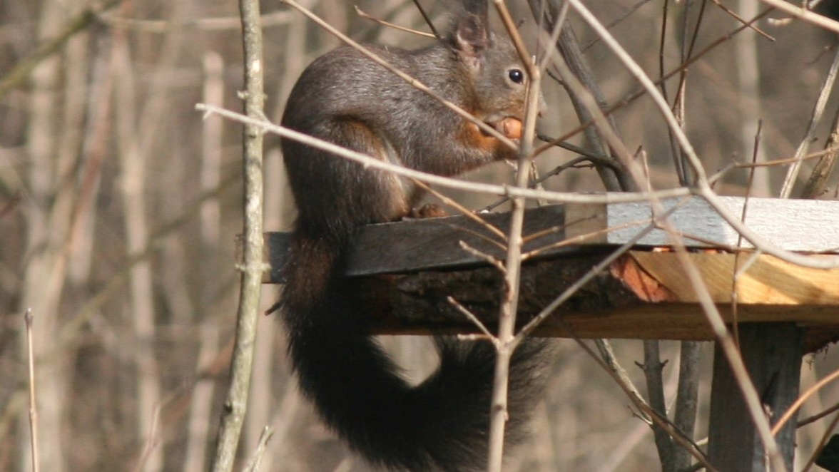 Minijatura galerije 4