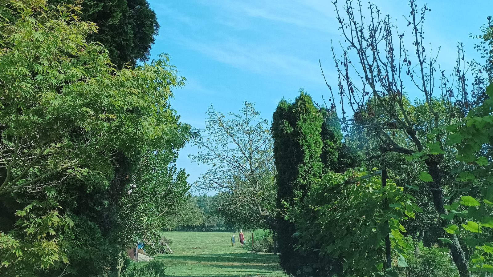 Minijatura galerije 2