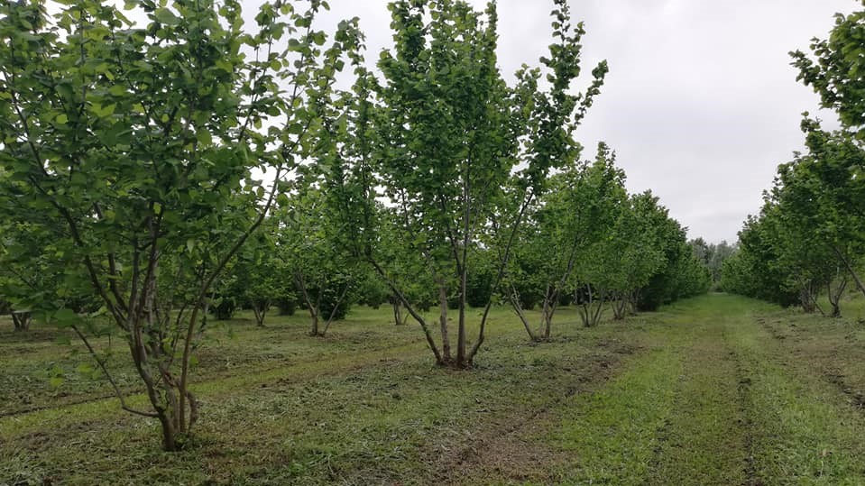 Minijatura galerije 5