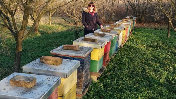 Minijatura galerije 3