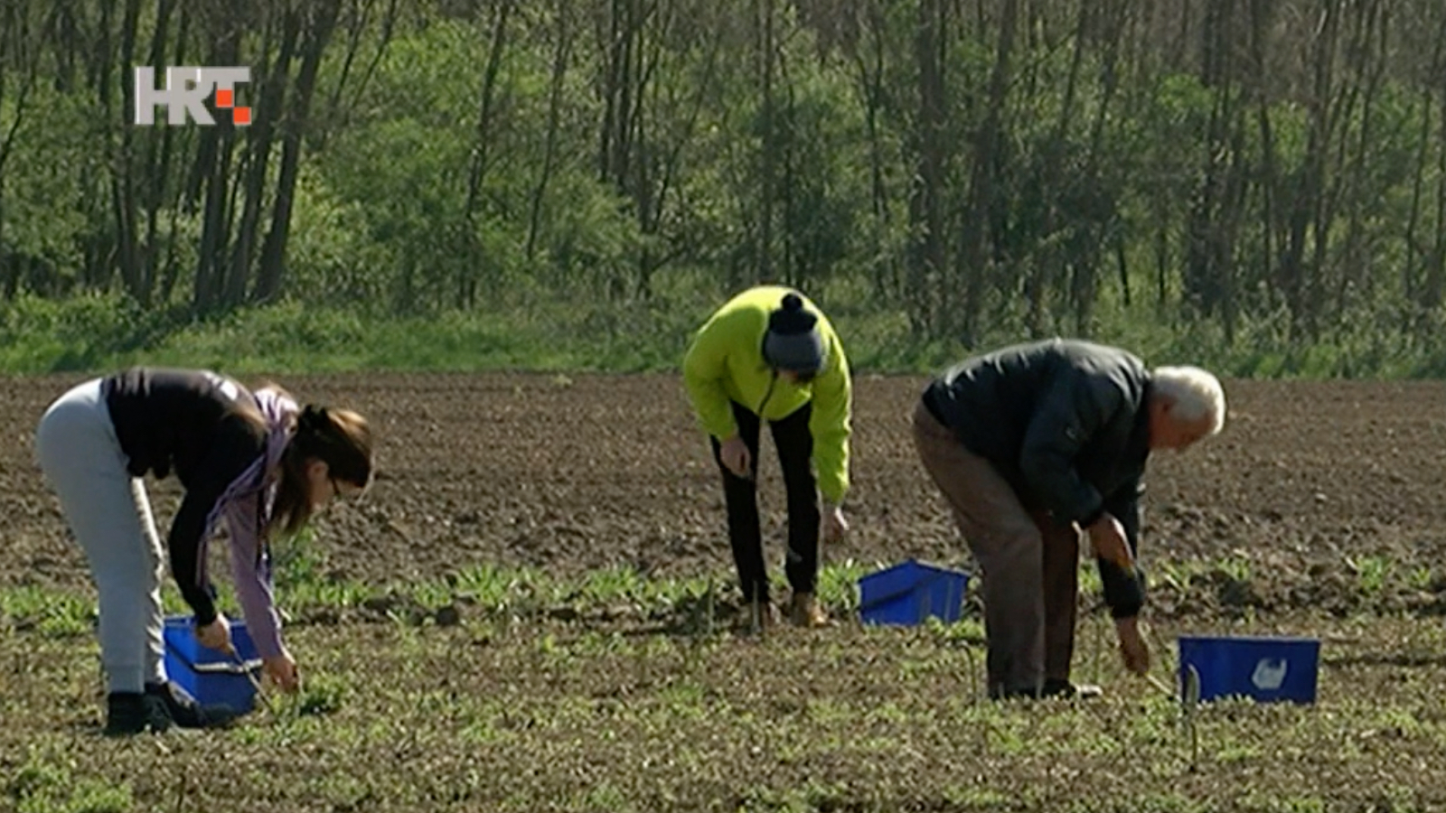 Minijatura galerije 4