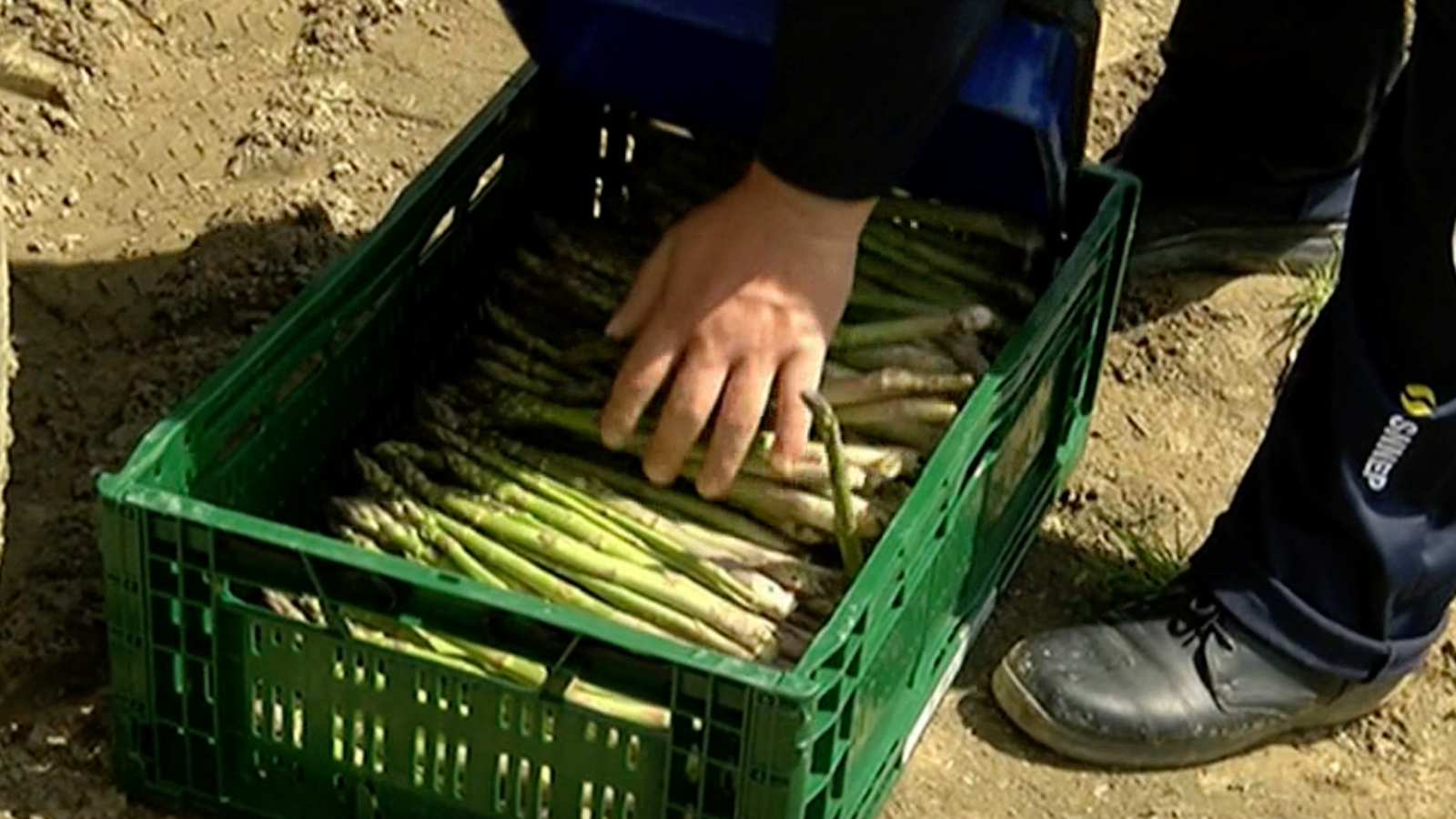 Minijatura galerije 2