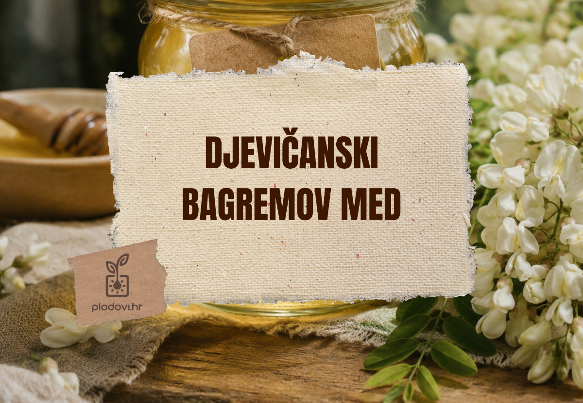 Djevičanski bagremov med - godina koju će pčelari dugo pamtiti