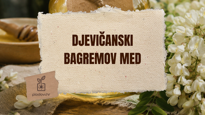 Bagremov djevičanski med- godina koju će pčelari dugo pamtiti