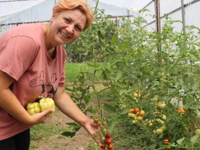 Agroklub: Plodovi.hr - Nedostaje voća, a evo i koji su proizvodi najtraženiji