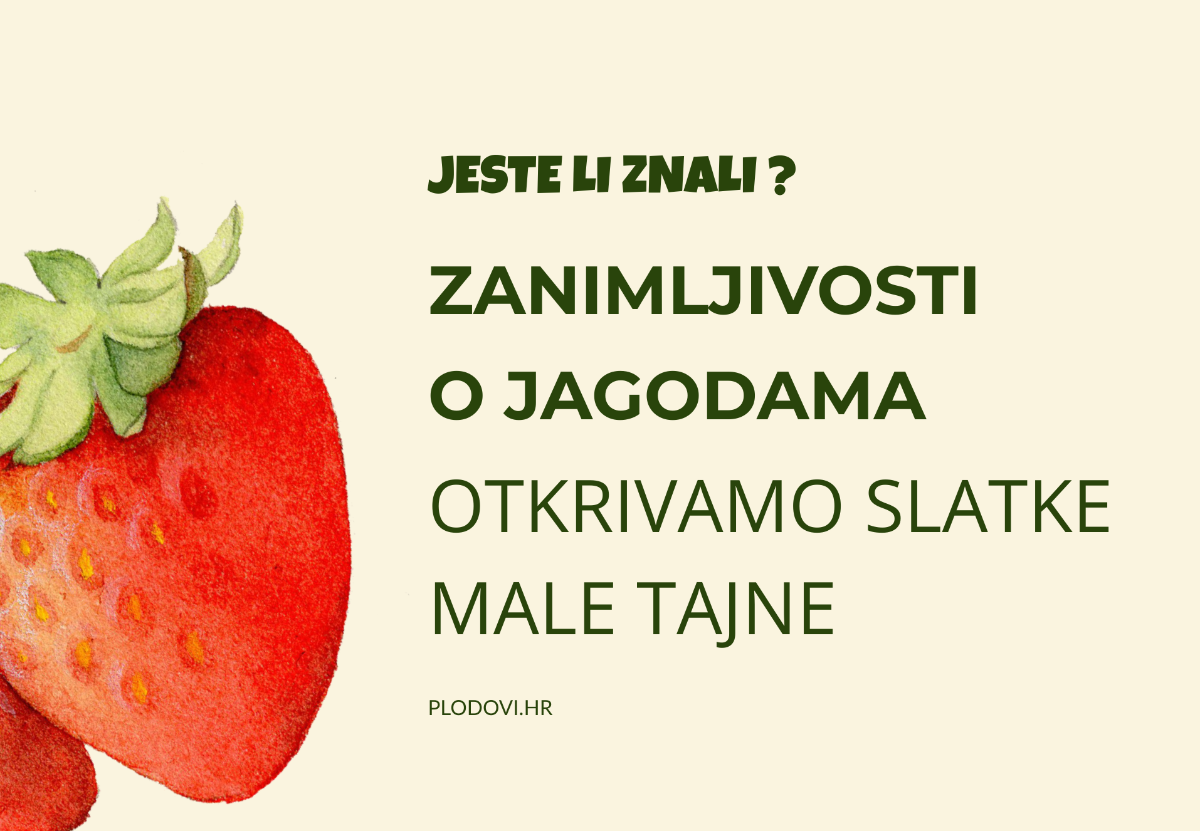 Jeste li znali? Zanimljivosti o jagodama
