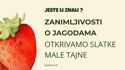 Jeste li znali? Zanimljivosti o jagodama