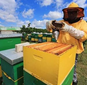 OPG Čondić Geyer Snježana