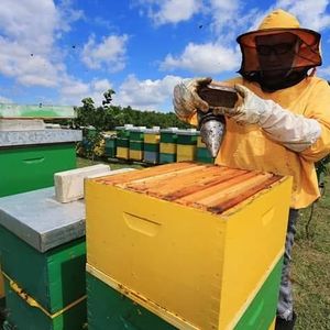 OPG Čondić Geyer Snježana