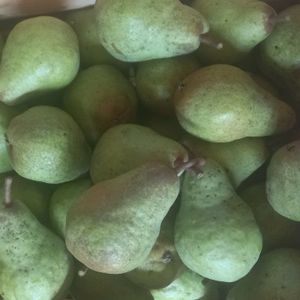 OPG Ivana Lončarević