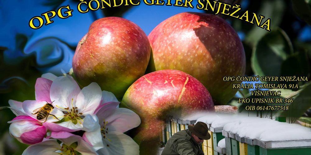 Slika galerije 1