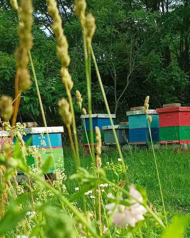 OPG Dejan Nađ - Patuljci s Goldberga
