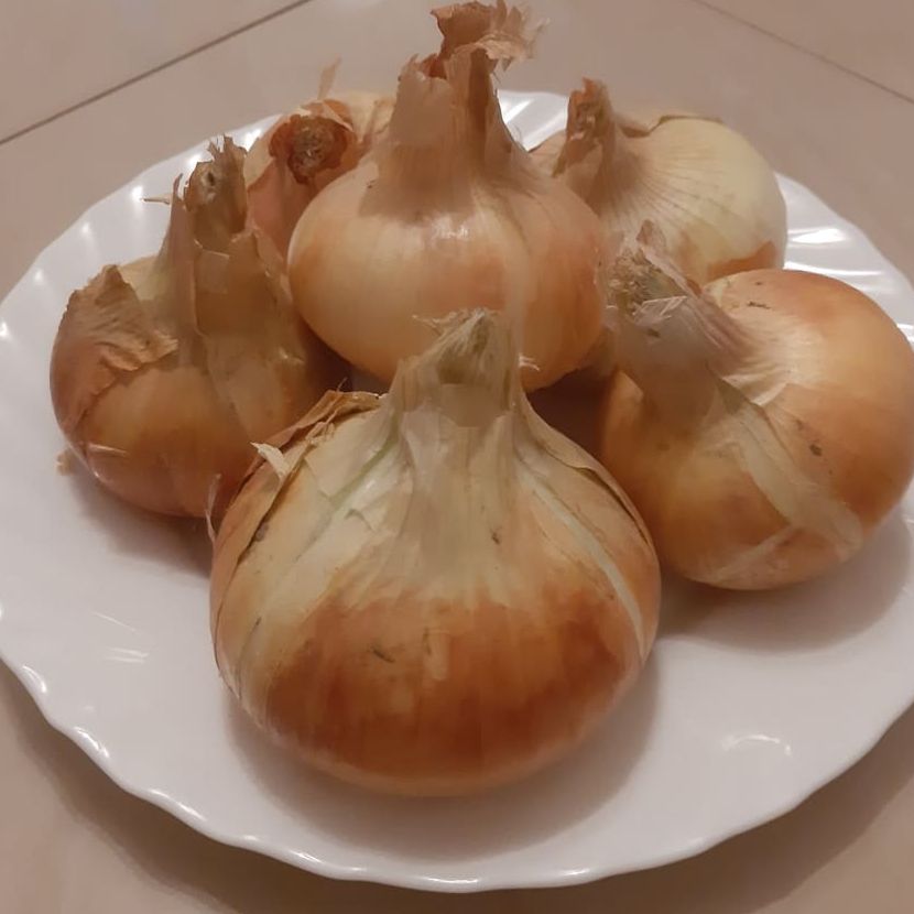 EKO - žuti - Image 1