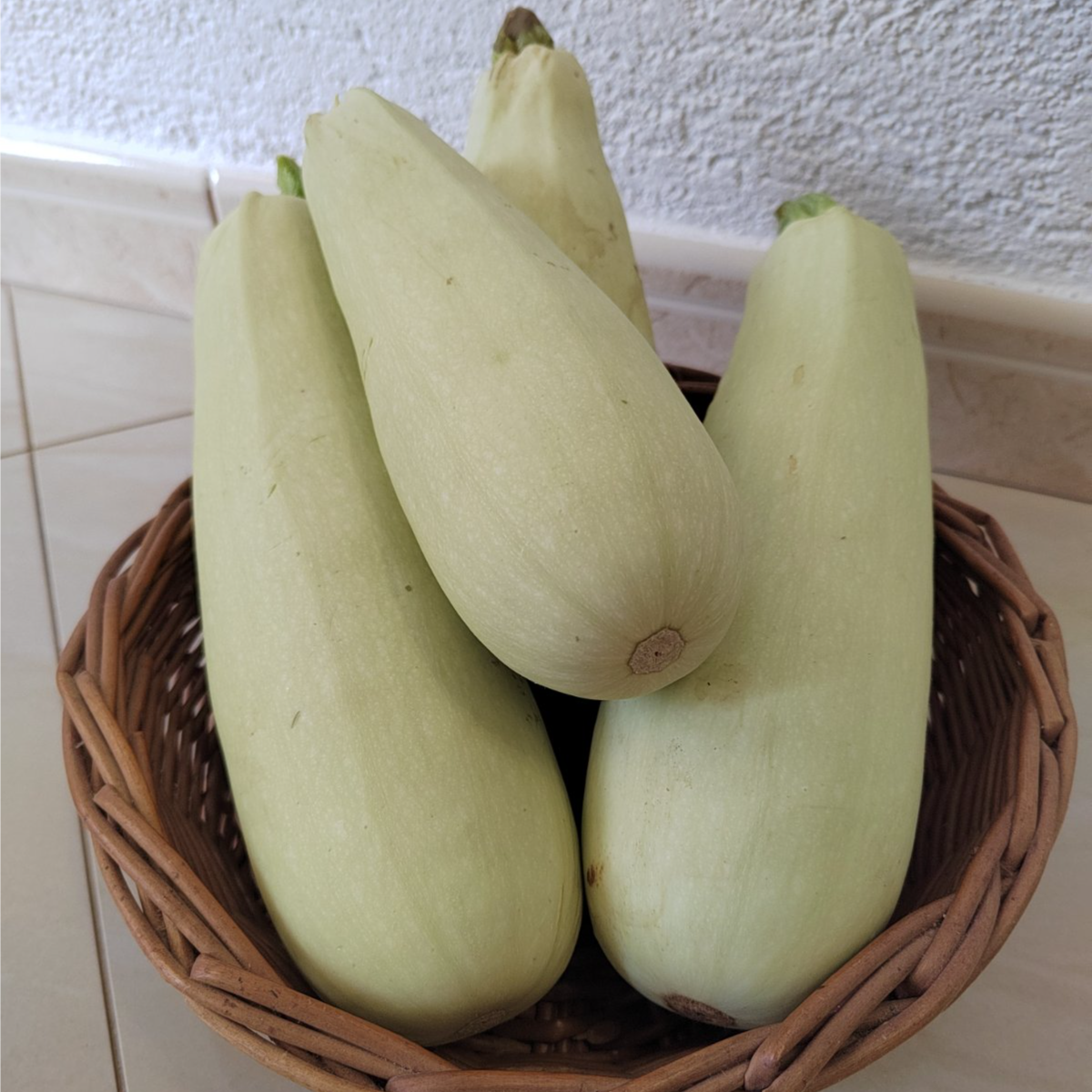Eko Bijela - Image 1
