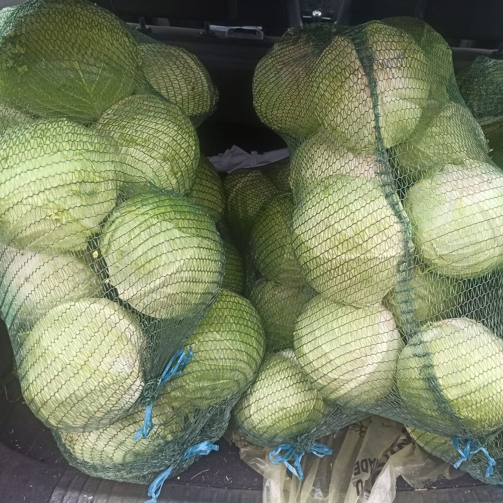 za kiseljenje - Image 1