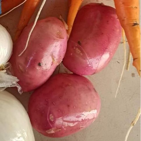 mladi Bellarosa thumbnail 2