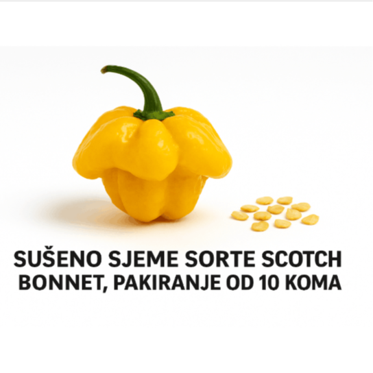 Scotch Bonnet - Image 1