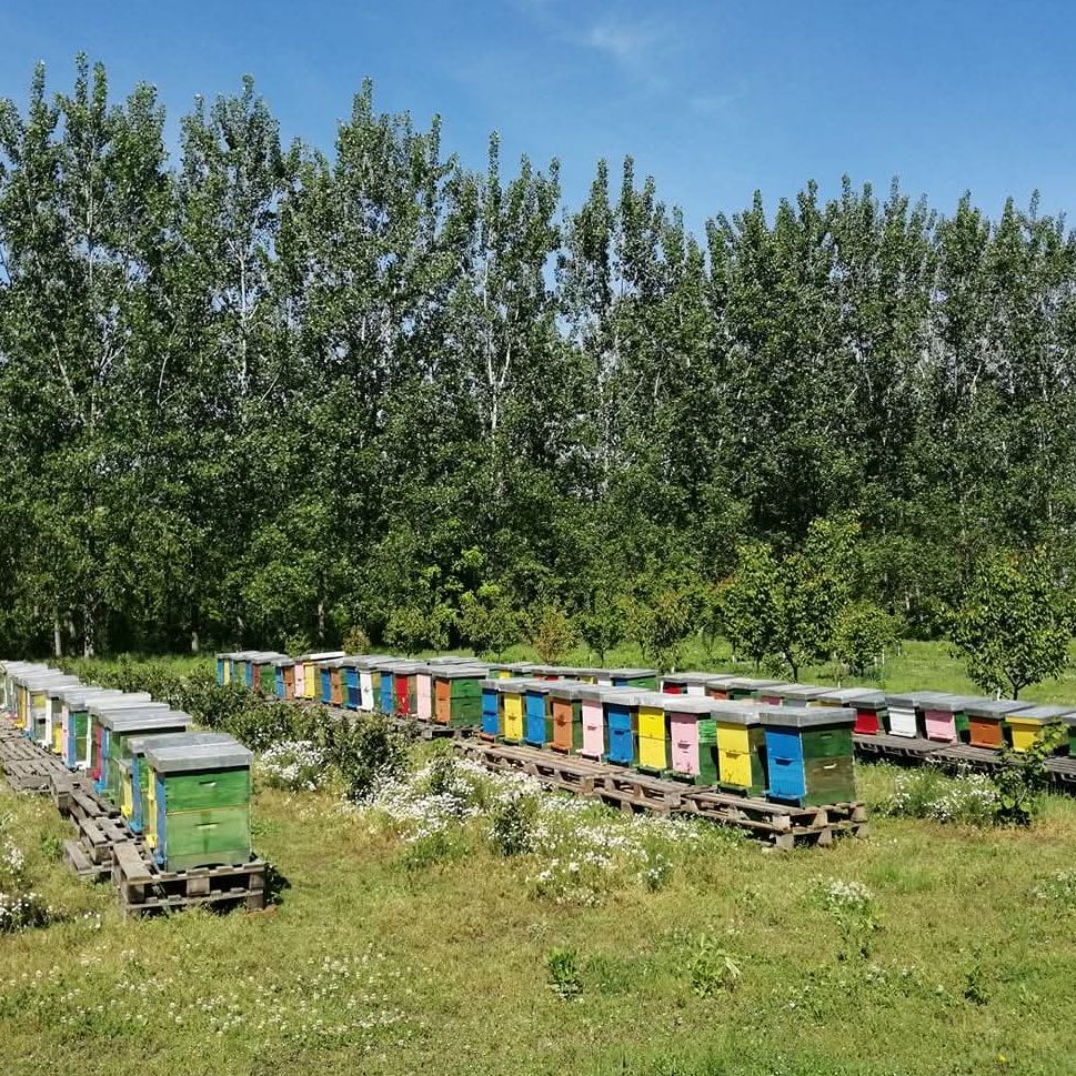 kutija za ugostiteljstvo thumbnail 4