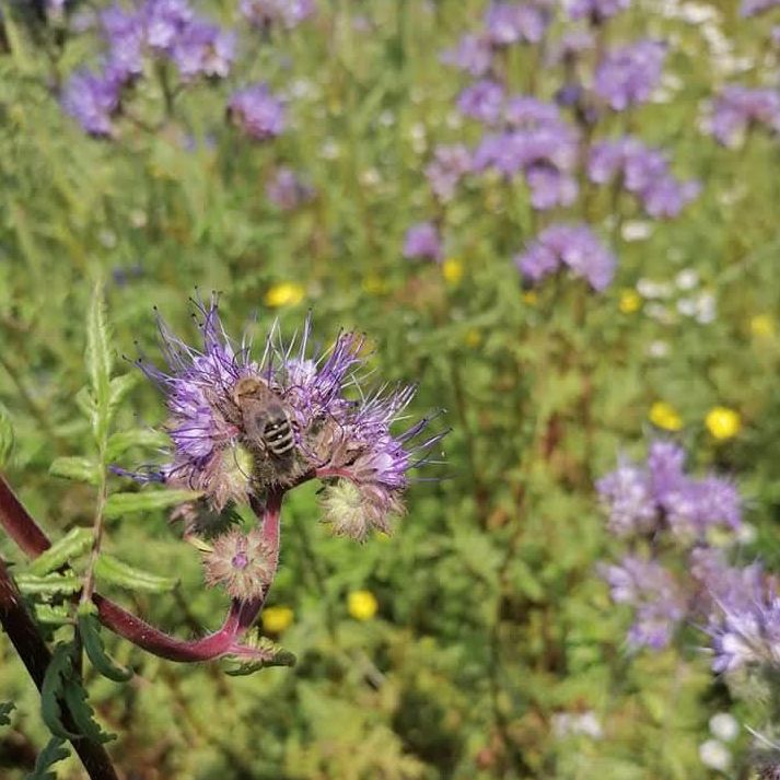 u plastičnom medvjediću thumbnail 6