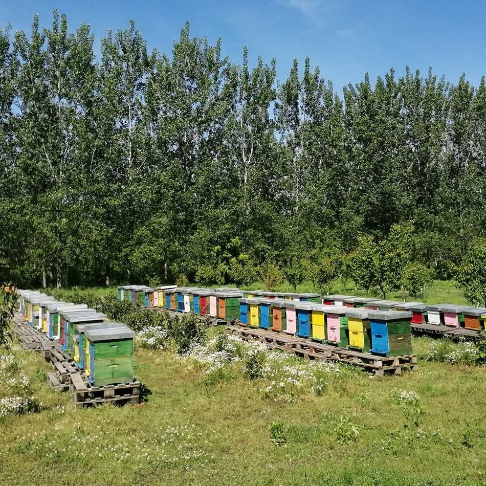 u plastičnom medvjediću thumbnail 4