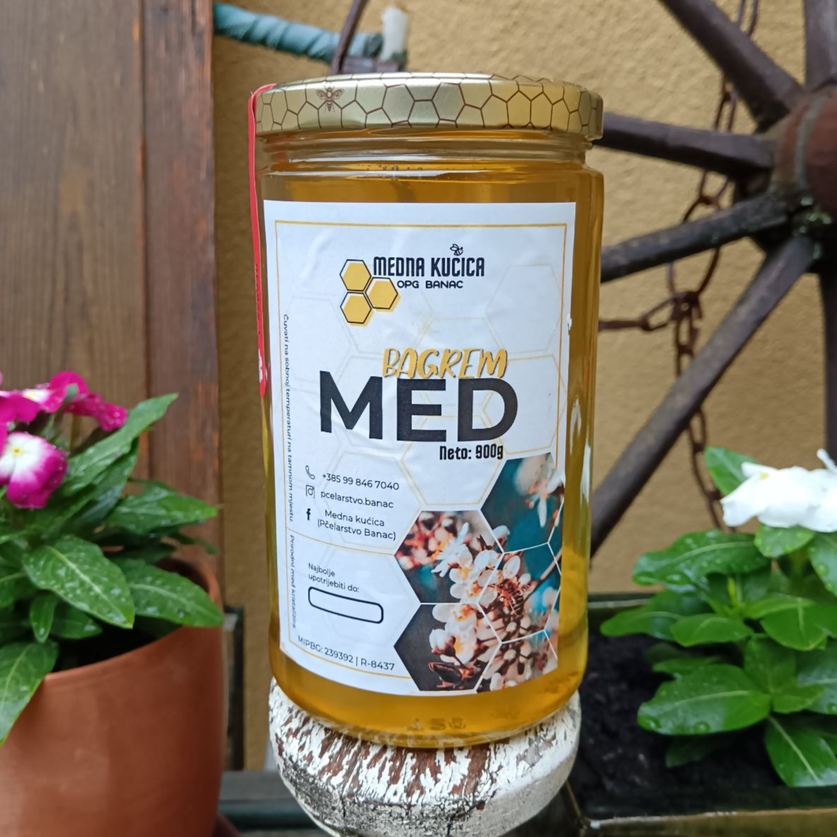Med Baranjskih šuma i polja - Image 1