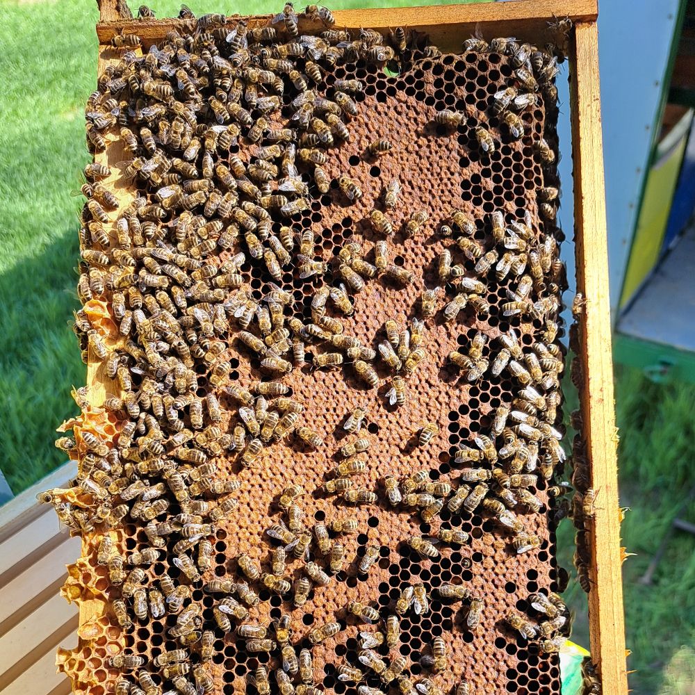 Med Baranjskih šuma i polja thumbnail 4