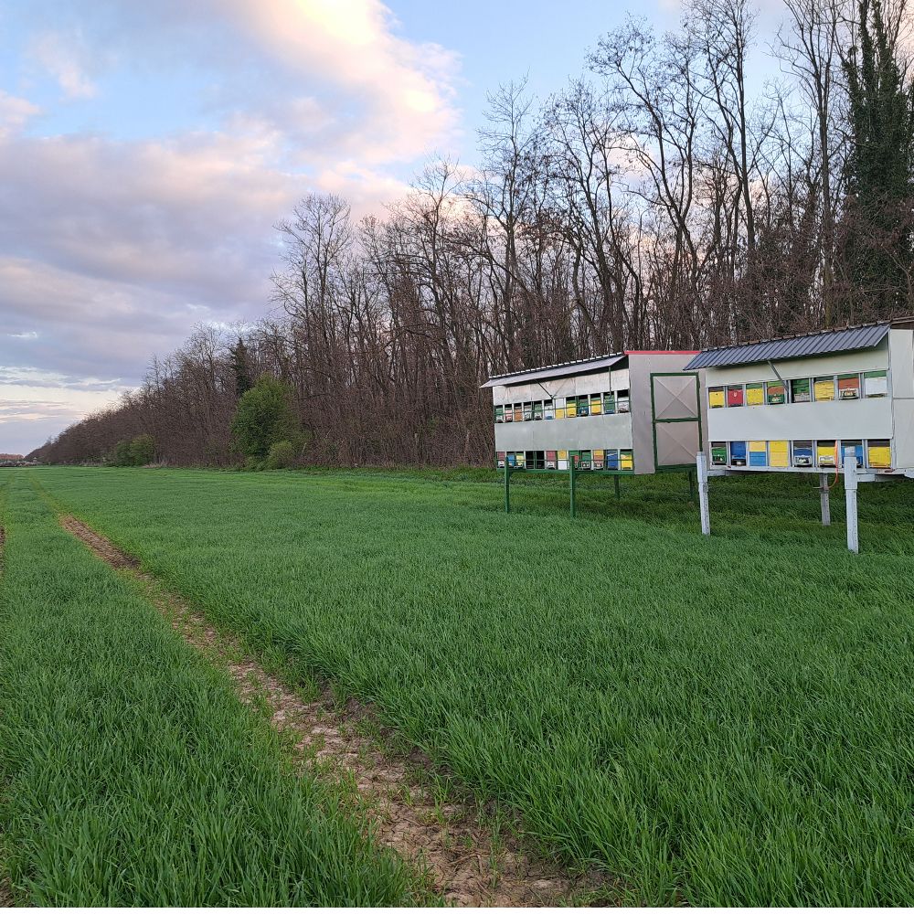 (12gx25kom) thumbnail 4