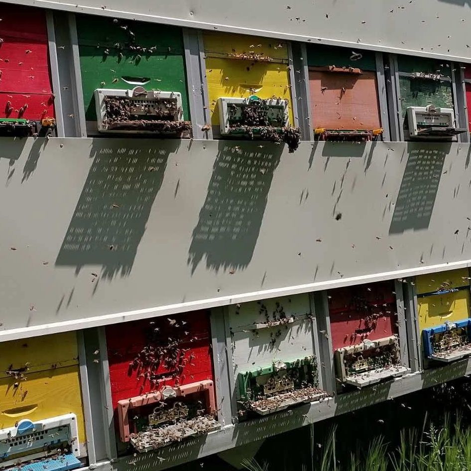 (12gx25kom) thumbnail 3