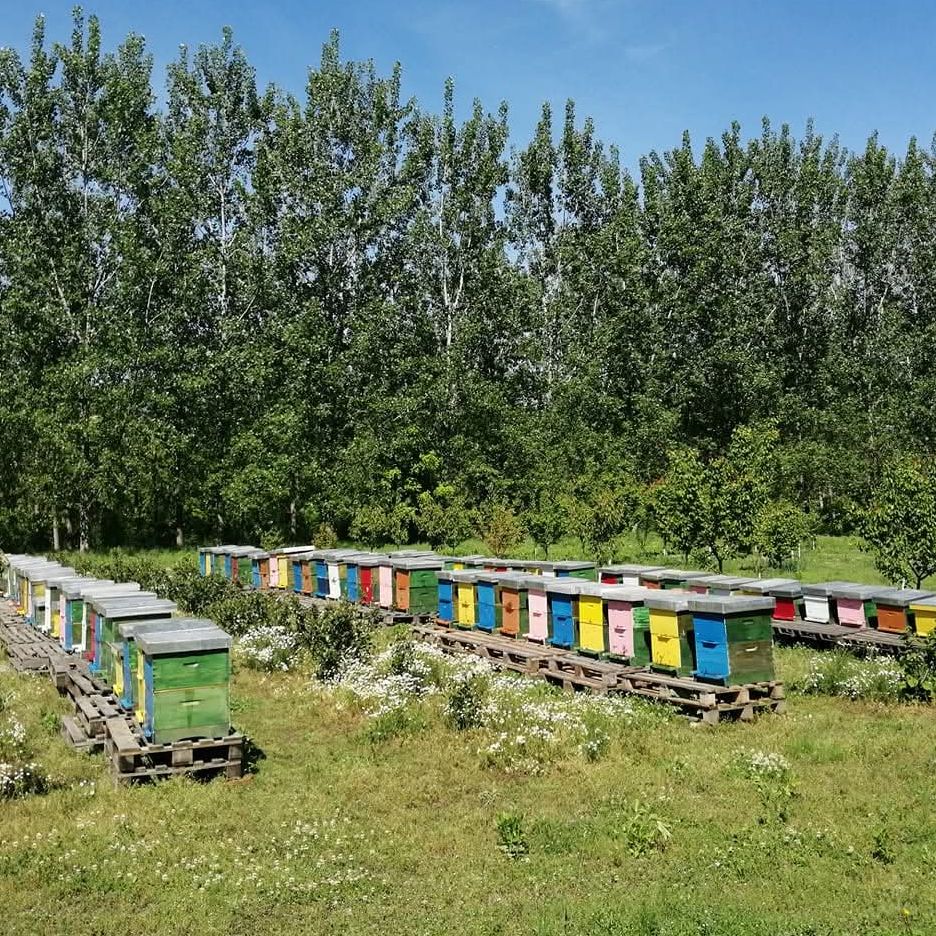 (12gx25kom) thumbnail 5