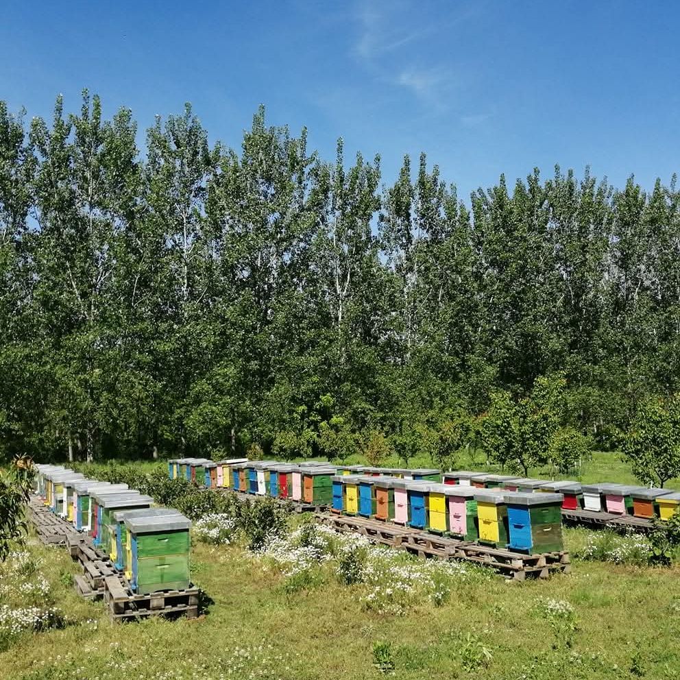 s mrežice thumbnail 5